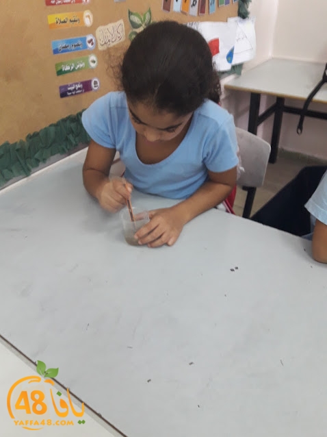 cimikal day (34).jpg